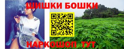 гашик Канаш