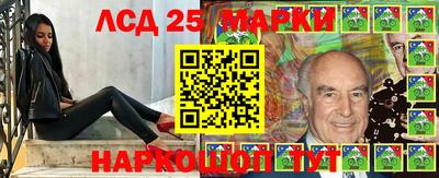 спиды Камышлов