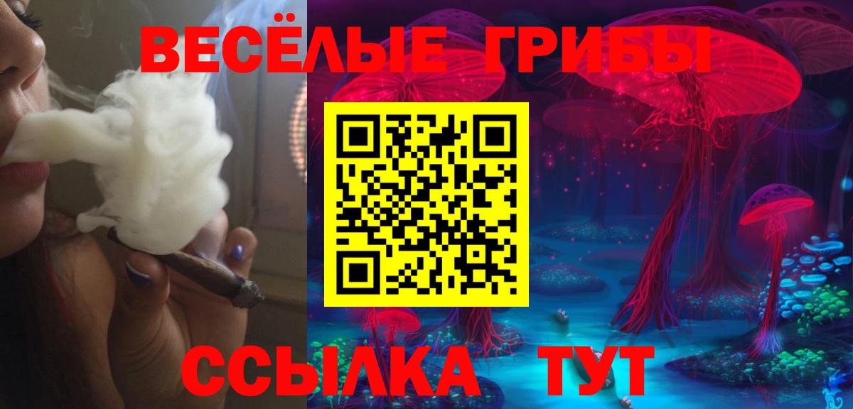 Псилоцибиновые грибы прущие грибы  Псилоцибиновые грибы прущие грибы  Краснокаменск  Вход с VPN 